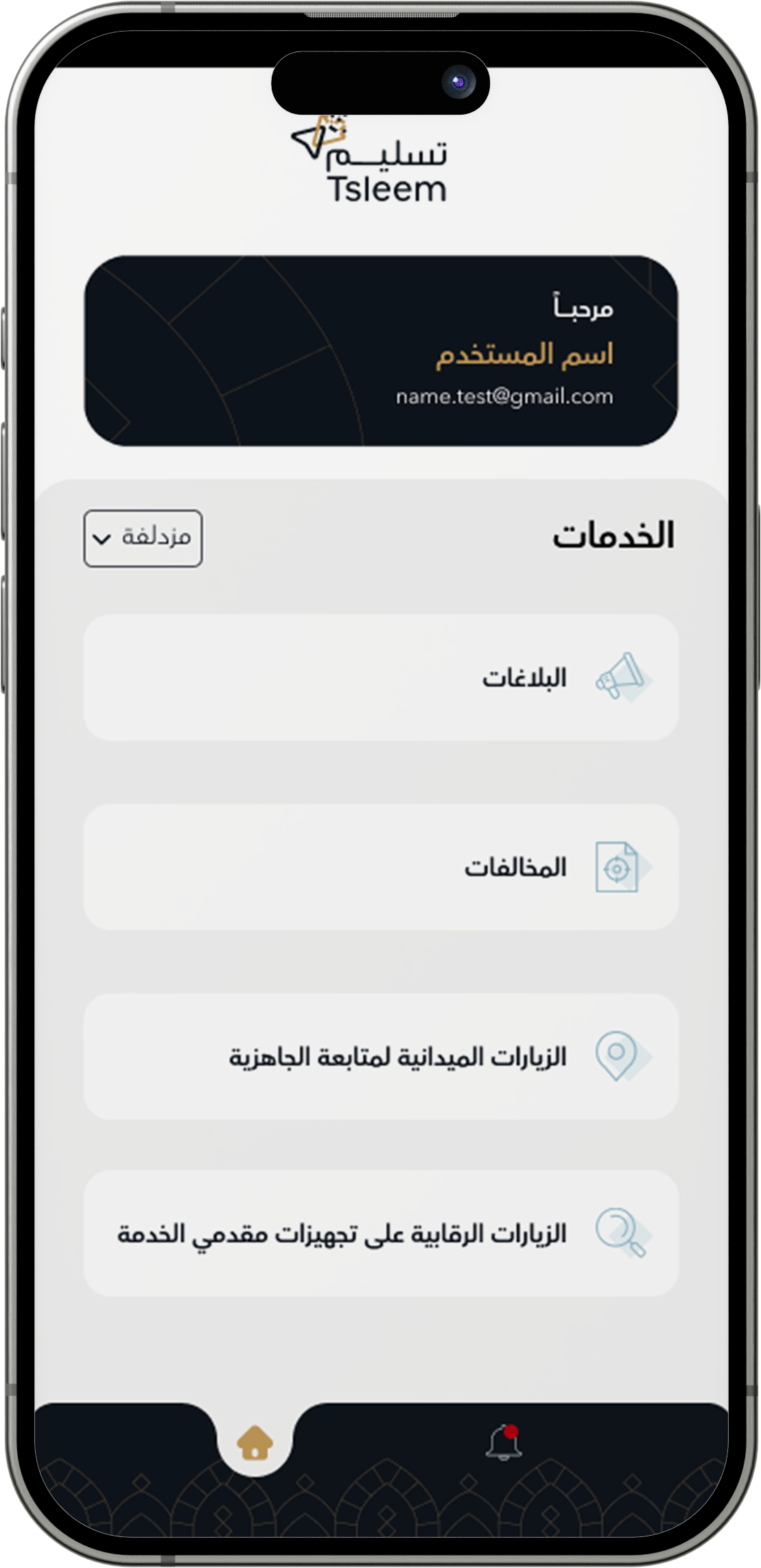 تسليم - الرصد الميداني